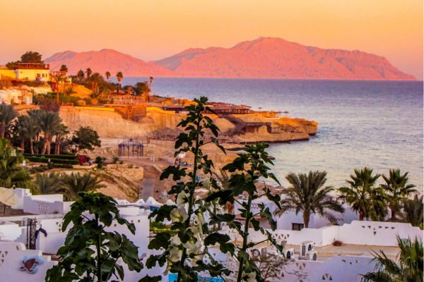 découvrir la temperature en egypte en janvier